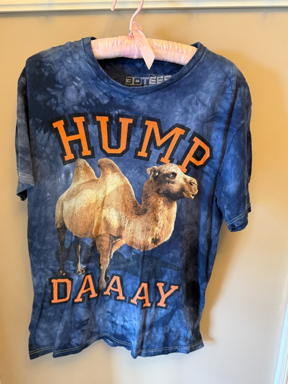 The Mountain Blue Tie-Dye 'HUMP DAAAY' Graphic Tee